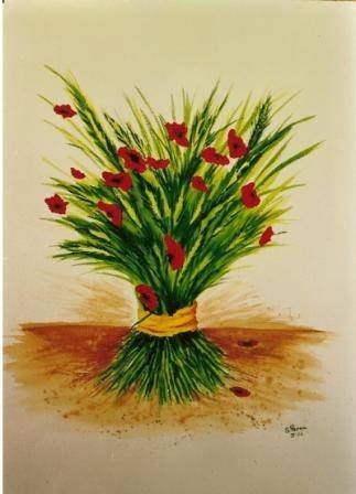 AMAPOLAS