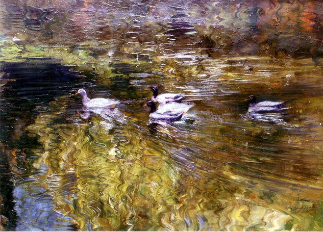 patos del parque maria luisa Oil Canvas Animals