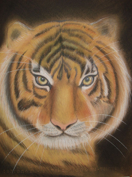 El Tigre