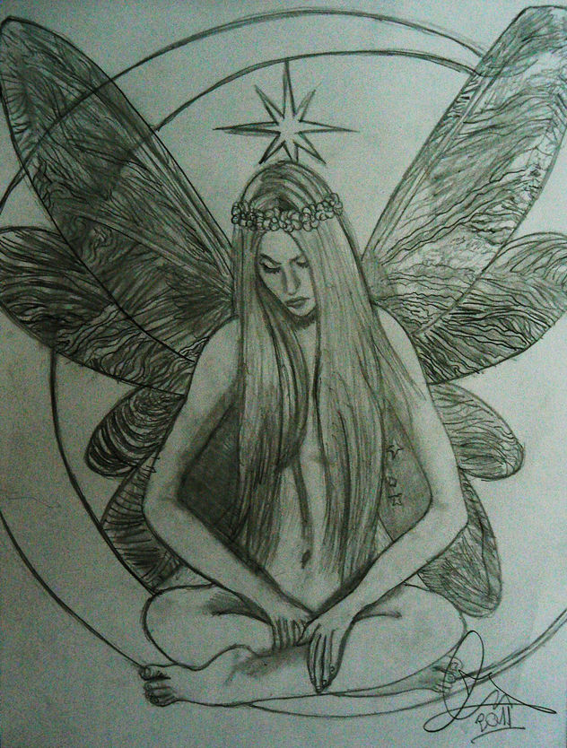 luciernagas de luz