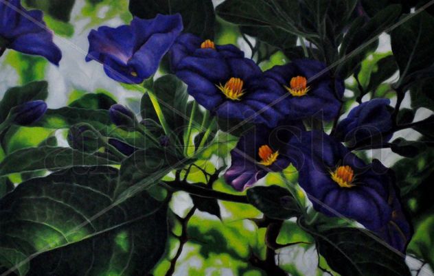 FLORES SILVESTRES