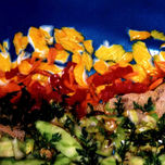 ArtComida thumbnail 1
