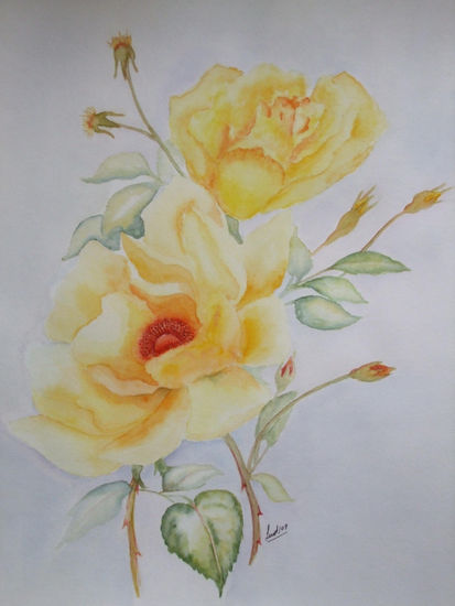 Rosa amarilla Acuarela Papel Floral