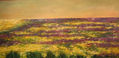 primavera
