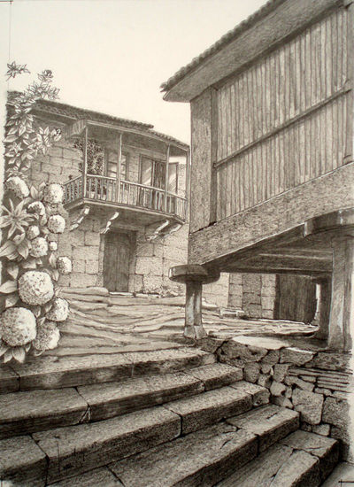 Piedras y hortensias (Combarro - Pontevedra) Pencil