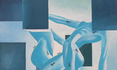 "INSECTA"