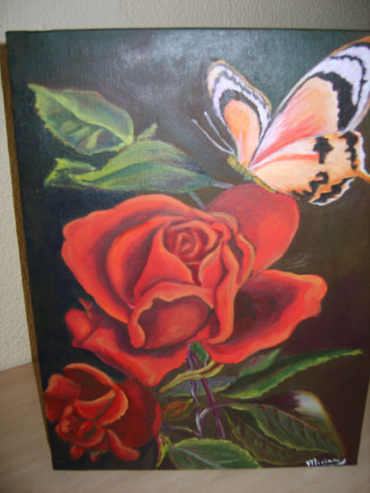 Rosas y mariposa 