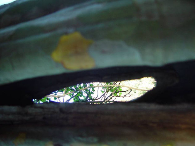 silencio