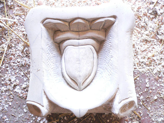 escudo