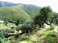Paisaje hurdano
