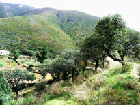 Paisaje hurdano