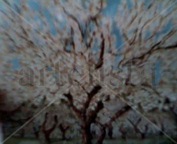 almendros en flor Oil Canvas Landscaping