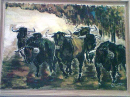 Toros en el campo