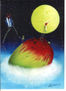 fruta