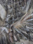 Detalle 6 de Cortina 3