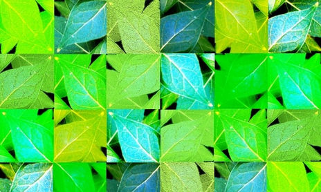 NATURALEZA