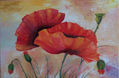 Amapolas Rojas