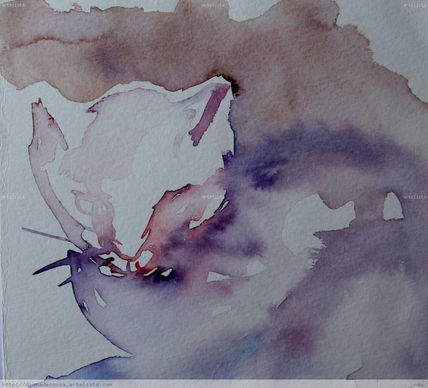 Gato x