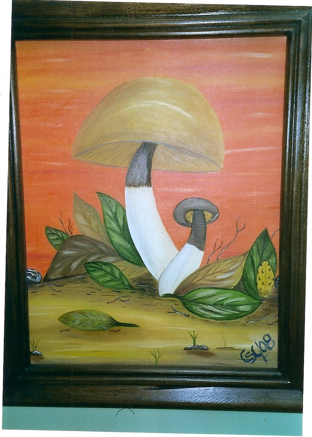 NATURALEZA MIXTA
