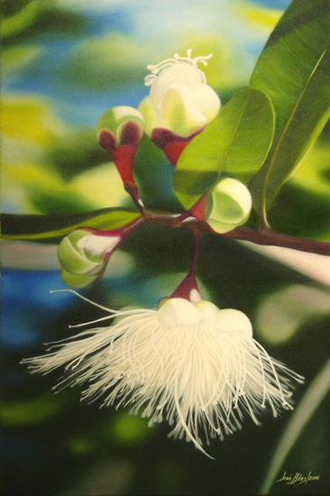 Flor de Pomo Óleo Lienzo Floral