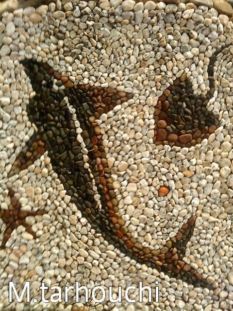 delfin, mosaicos
