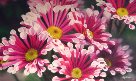 "Flores"
