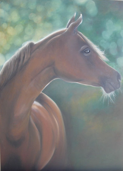 caballo Oil Canvas Animals