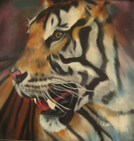 Ferocidad