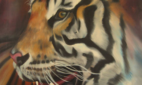 animales