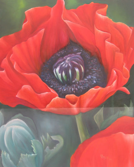 amapola Oil Panel Floral Painting