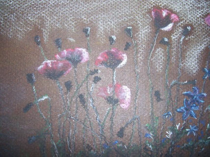 Amapolas