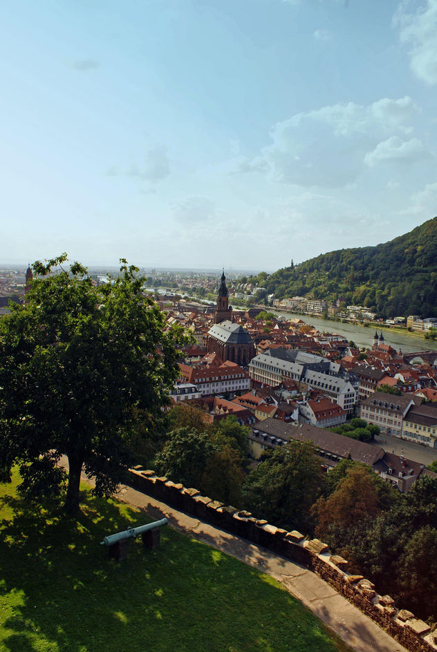 View of Heidelberg from its Castle