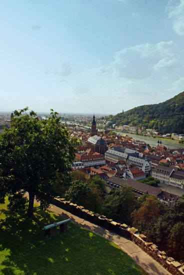 View of Heidelberg from its Castle Photojournalism and Documentary Alternative techniques