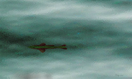 Agua