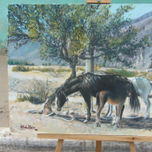 caballos thumbnail 1