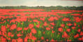 amapolas