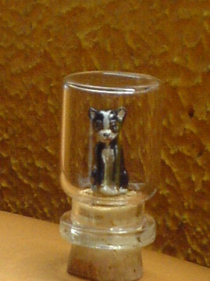 Chihuahuita