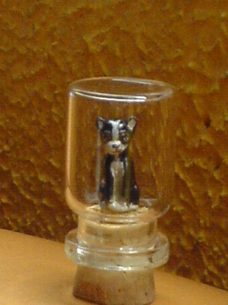Chihuahuita