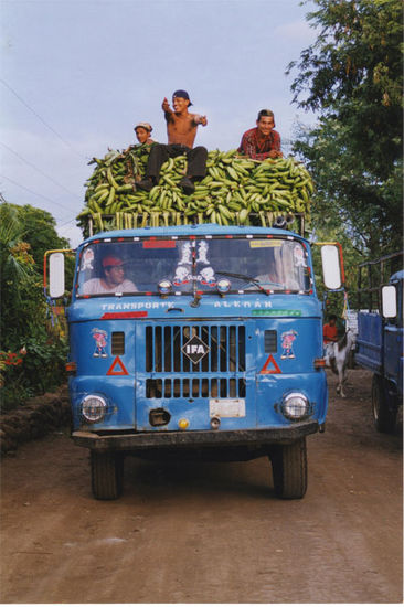 camion platanero 