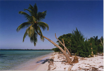 Isla desierta