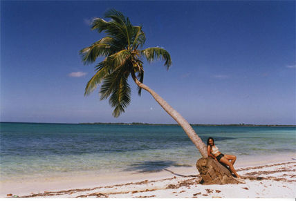 Isla no desierta