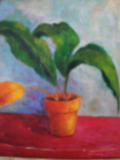 Aspidistra Oil Canvas Floral Painting