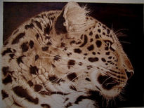 Leopardo