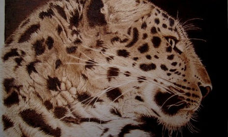 pirograbado - animales