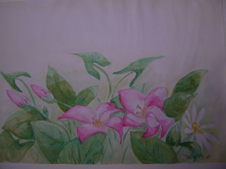 Flores