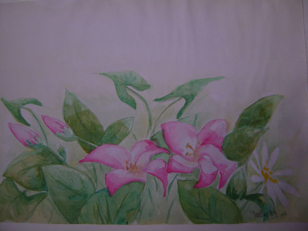 Flores