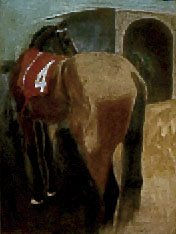 Caballo en corral del Club Hípico
