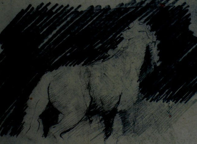 Caballo Charcoal