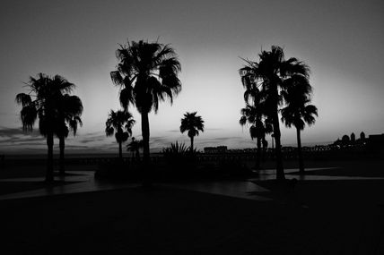 Cadiz 2