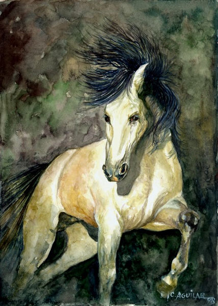 Escorzo